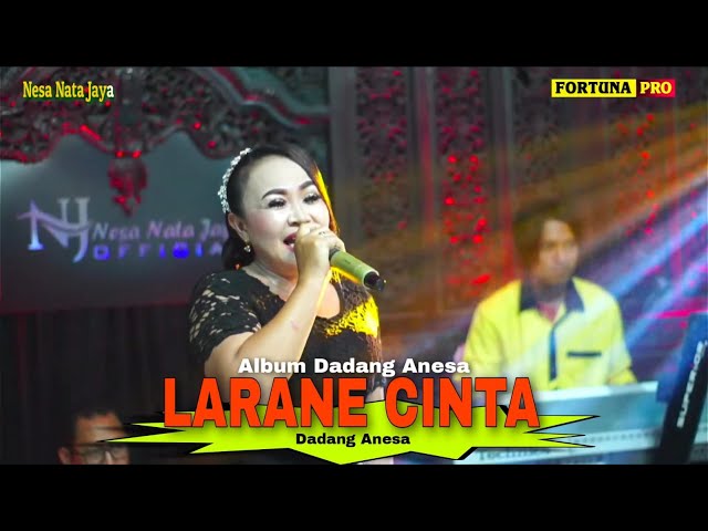 LARANE CINTA - DADANG ANESA || LIVE NGOBROG NING JERO HAPE class=