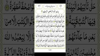 Surah Al bayyinah sheikh Maher #surahbayyinah #shorts #ytshorts #youtubeshorts