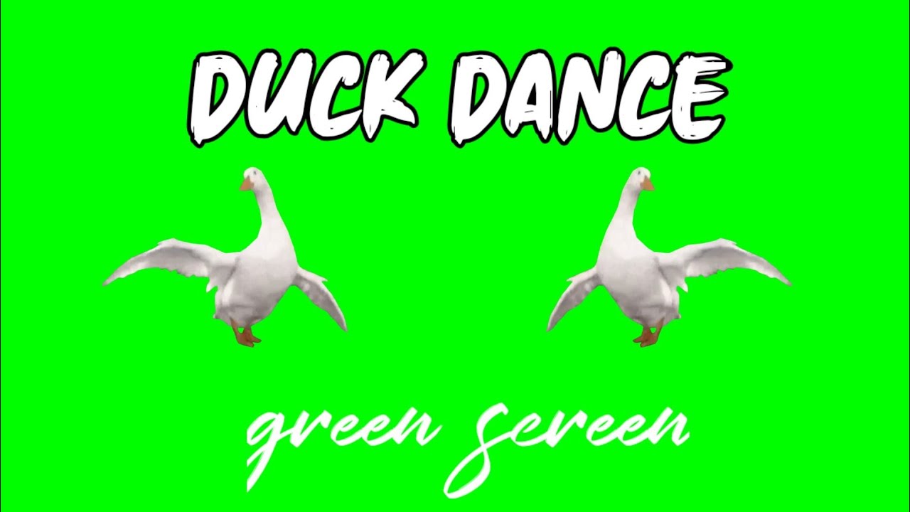duck dance - green screen bebek lucu 