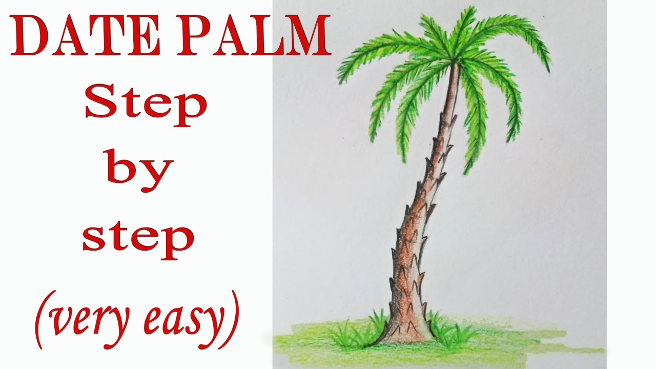 Discover more than 76 easy palm tree sketch - seven.edu.vn