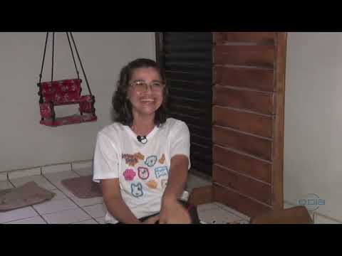 20 de Fevereiro é o Dia do Gato: Veja cuidados com os felinos 15 02 2024