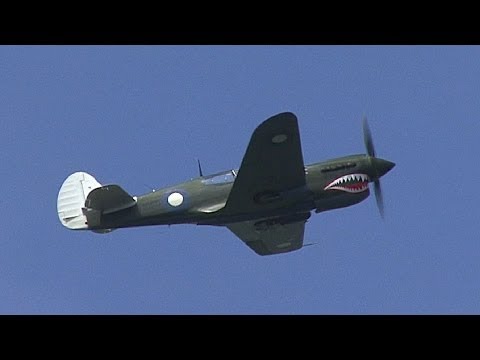 Curtiss P-40N Kittyhawk - Low Level Display