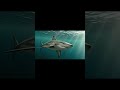 Sharks Are Older Than Trees 😳