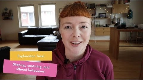 CLICKER TRAINING EXPLAINED: Shaping, Capturing, and Offered Behavior