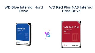 WD Blue vs WD Red Plus: Which one is better for you?