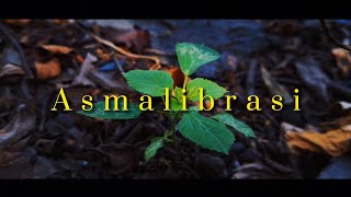 ASMALIBRASI MUSIC FOR VIDEOS || CINEMATIC VIDEO || STORY WA CINEMATIC 1 MENIT