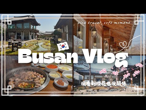 釜山散步日記｜沒有櫻花也沒關係🌿和我一起去韓屋咖啡廳與手帳小店🕊️✨