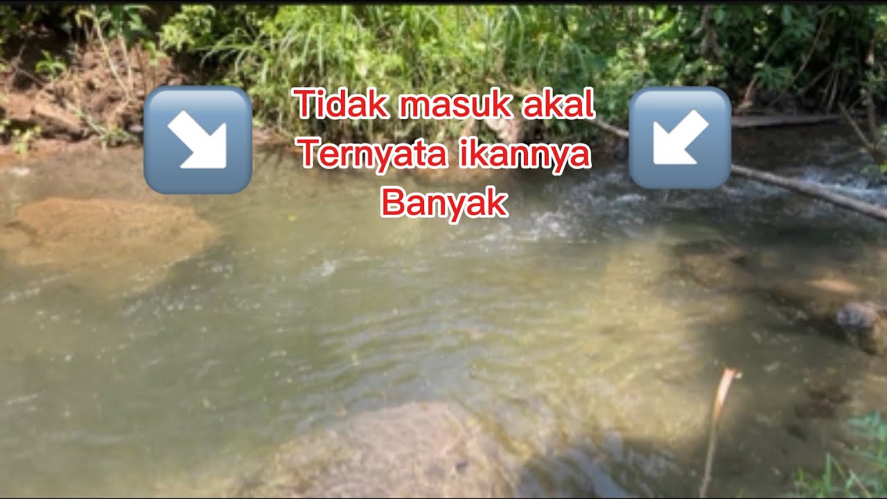 SPOT RAHASIA Ditemukan: Mancing di Sini Auto Strike Bertubi-tubi! [Part 11]