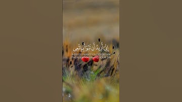 إني أخاف الله رب العالمين عبدالله عيسى جناحي من سورة المائدة #تلاوة_خاشعة #تلاوة_هادئة