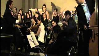 Mozart Peq Serenata 1er mov CSQ René Platiní VTS 02 11