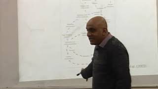 Lecture 12: 1-Critically reviewing the literature