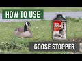 How to Use Goose Stopper Repellent Concentrate