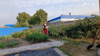 Мой томатный рай 🍅🍅🍅 Покупки книг для детей 📔