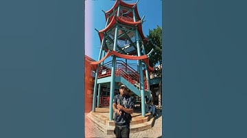 (True - stick to the script)🔥🦇🎶🤫‼️ #viralreels #newmusic  #chicago #robdyrdek