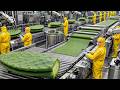 Why Big Fashion Is Hiding This Cactus Factory (Rare Process Exposed)