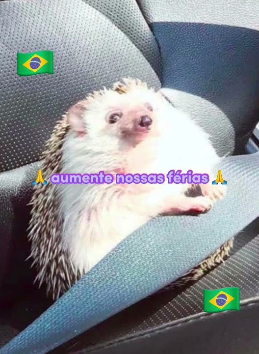 #selonco não conpensa