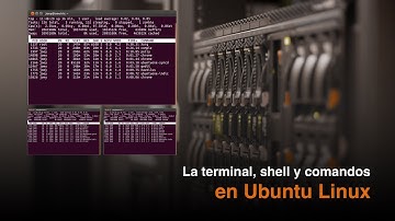 La terminal, el shell y comandos basicos de linux