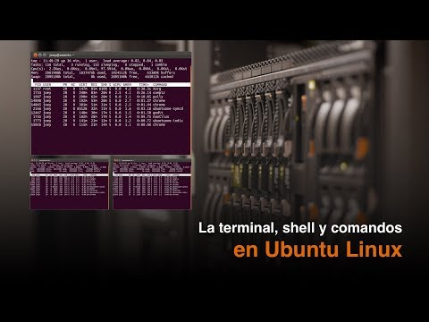 La terminal, el shell y comandos basicos de linux