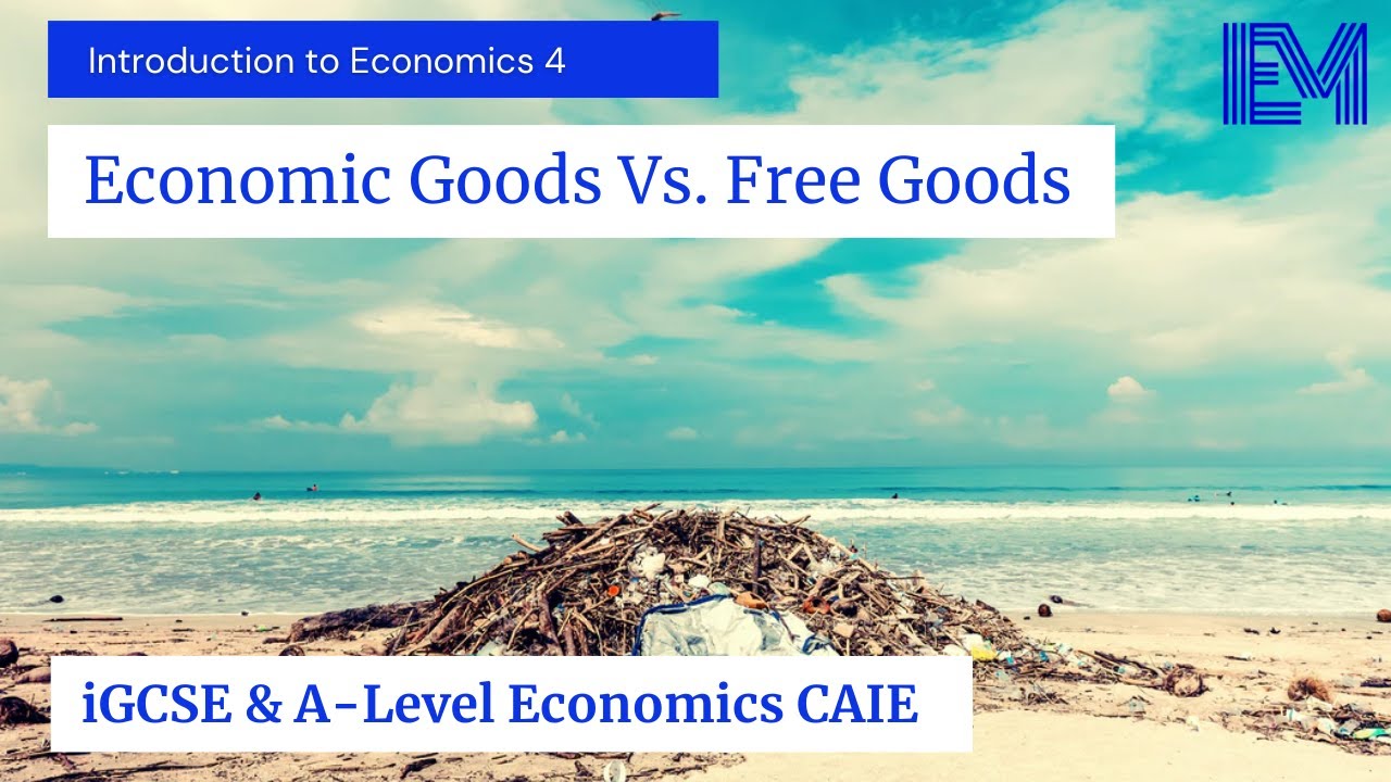 20 ejemplos de bienes libres y economicos