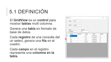 Programación II, Objeto DataGridView,