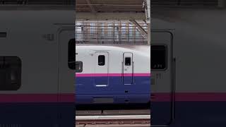#train #trainstation #trainspotting #railroad #railway  The Great Shinkansen . Next Station .