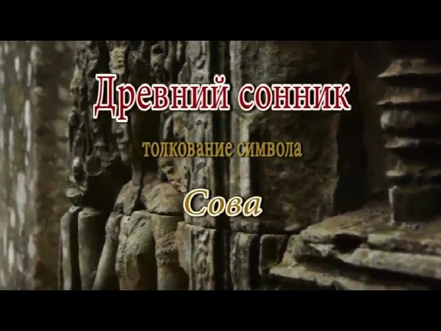 К чему снится Сова сонник, толкование сна