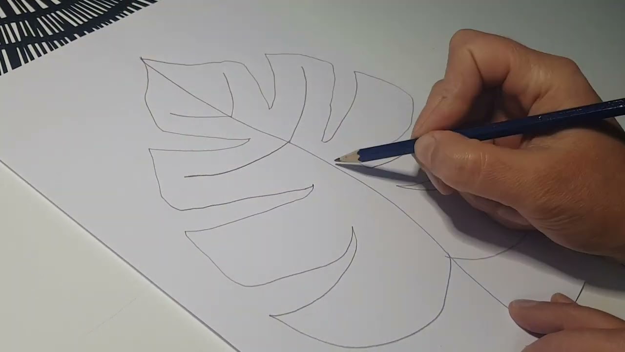 Monstera Blatt Zeichnen #diy #zeichnen #zeichnungen #zeichnenfranfnger  #viralvideo #video #viral
