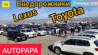 #14 Рынок Autopapa! Внедорожники Toyota Lexus! 31 января 2020