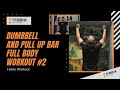 Dumbbell and Pull Up Bar Full Body Workout Home Routine #2