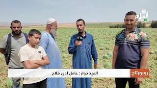 خسائر معتبرة تكبدها فلاحو المنطقة الحدودية بين الشلف و غليزان جراء العاصفة البردي