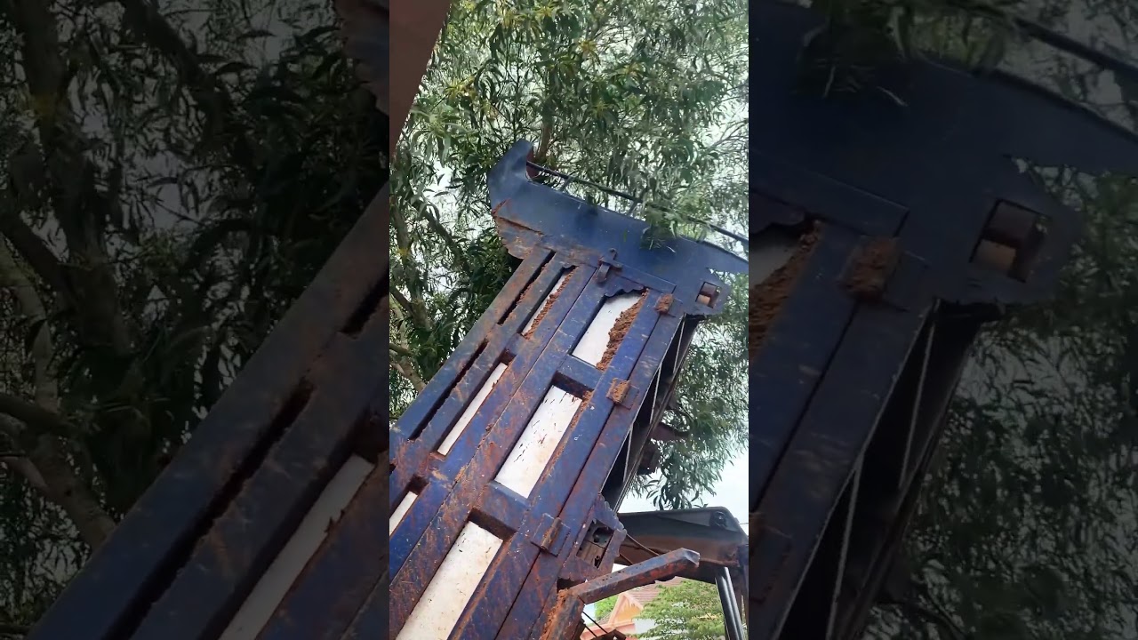 Truck pours soil to touch branches 