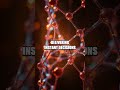 Molecular Miniatures: The Next Edge AI