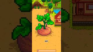 the GIANT carrot lag😭 #stardewvalley #stardew #satisfying #cozygames
