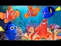 Cosas Que No Sabes De Buscando a Nemo (Curiosidades & Misterios)
