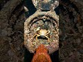 Redfish gopro Discovers a Sunken German Submarine from WW2