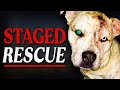YouTube's Disgusting Fake Animal Rescue Trend...