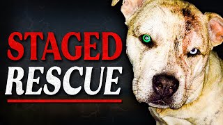 YouTube's Disgusting Fake Animal Rescue Trend...