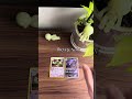 Pokemon Cards: Then &amp; Now (Dusknoir) #pokemonchannel #dusknoir #pokemontcg #pokemon #pokemoncards