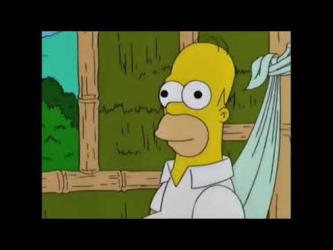 Los Simpsons: Homero lame sapos alucinógenos