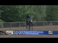 Medina Spirit Stripped Of Kentucky Derby Victory - WJZ