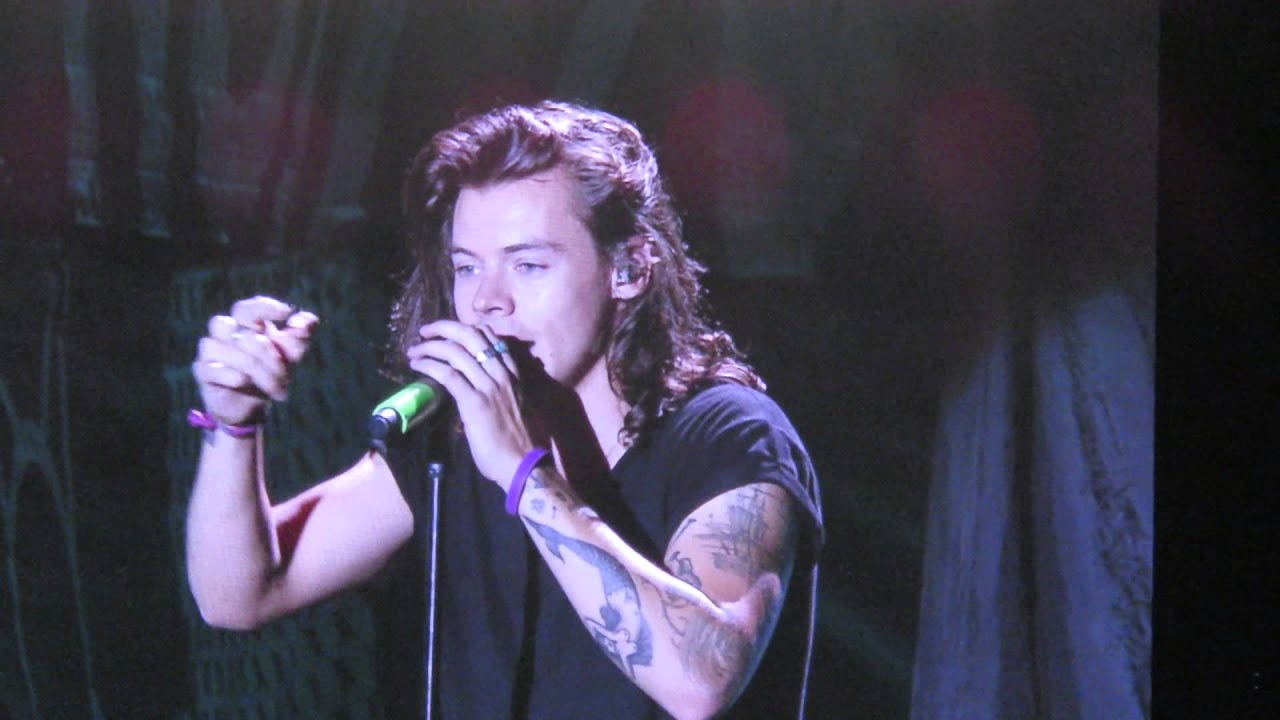 Harry Styles talking to the crowd- MetLife Stadium 8/5/2015