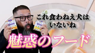 【ドッグフードのすすめ】全然食べてくれない飼い主さん必見です。ドッグシチューが最高な理由を解説します