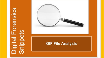 Digital Forensics Snippet: GIF files