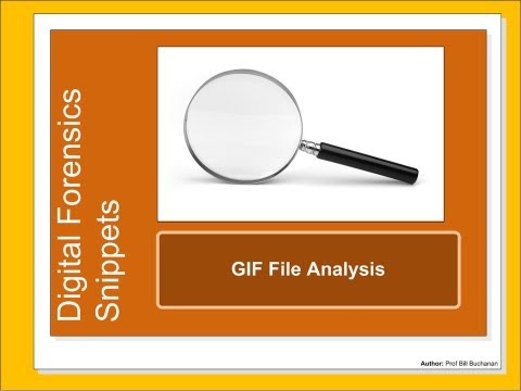 Digital Forensics Snippet: