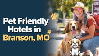 Pet Friendly Hotels in Branson, MO | Where to Stay with Your Pet in Branson, MO