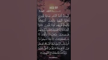 سورة المائدة ❤️ #ايات_قرانيه_قصيره #اكسبلور #quran #لايك #المصحف #ماهر_المعيقلي #duet #راحة_نفسية