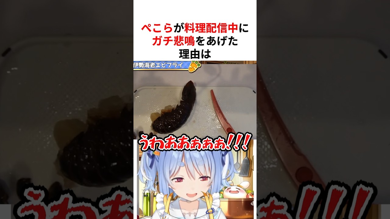 配信中に突然ガチすぎる言動が出るホロメンたち #shorts #ホロライブ切り抜き 【 #兎田ぺこら #白上フブキ #ときのそら 】