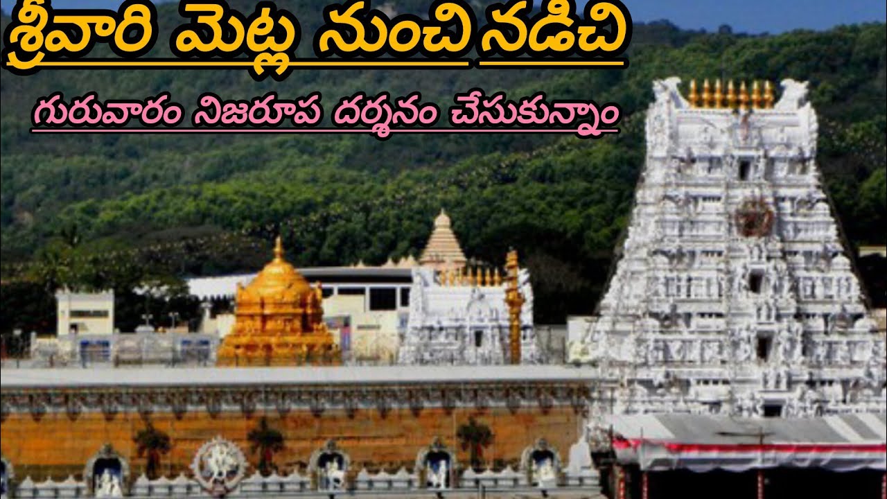 Vlog//ఏడుకొండలెక్కి వెంకన్న స్వామి దర్శనం చేసుకున్నాం#shortvideo #viral #తిరుమల