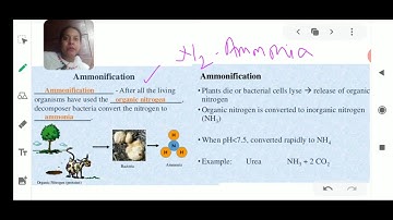 Class X Science 21-07-2020 by Ms Bhanupriya