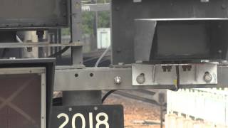東鐵綫SP-1900 E231-E229 駛入港鐵大埔墟站―號月台